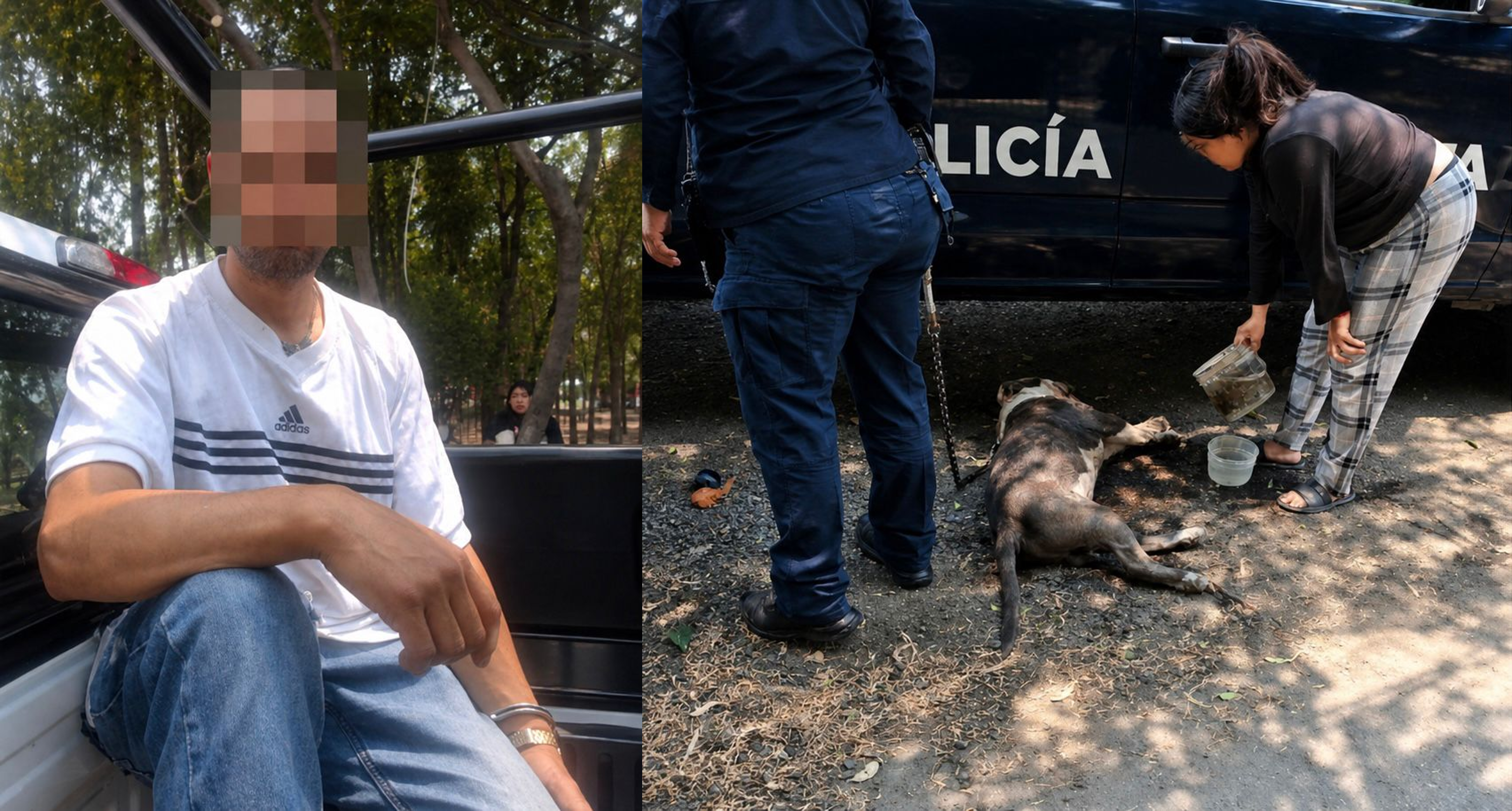 Detenido por golpear perro en Tlalnepantla