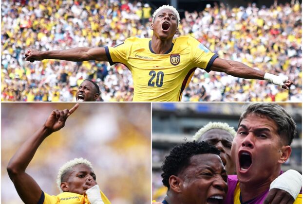 Ecuador se sobrepeso a la potencia Alemania 2-1 para clasificarse a segunda ronda de Mundial