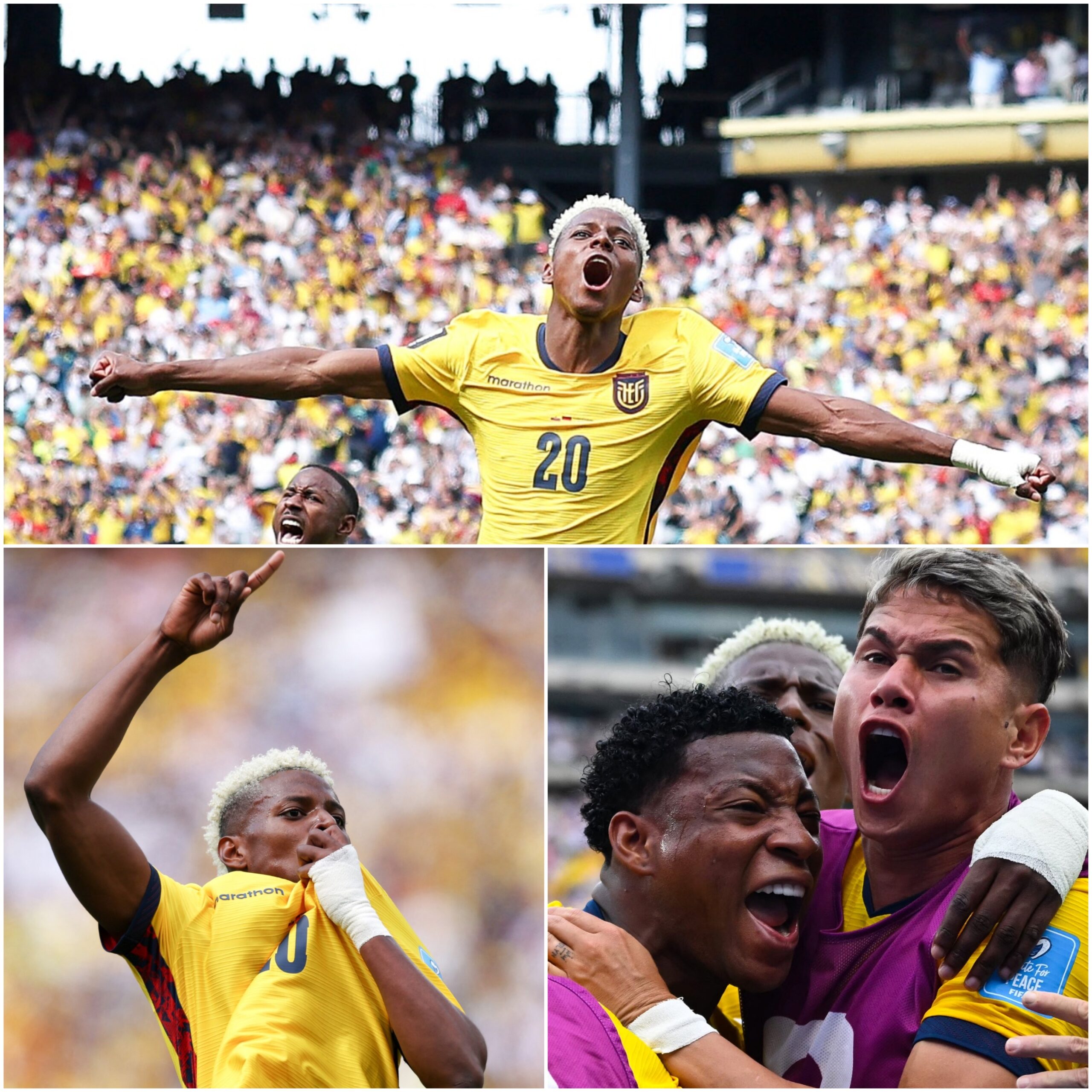 Ecuador se sobrepeso a la potencia Alemania 2-1 para clasificarse a segunda ronda de Mundial