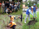 Reforestan bosques y zonas urbanas de Huixquilucan