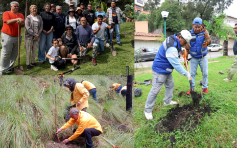Reforestan bosques y zonas urbanas de Huixquilucan