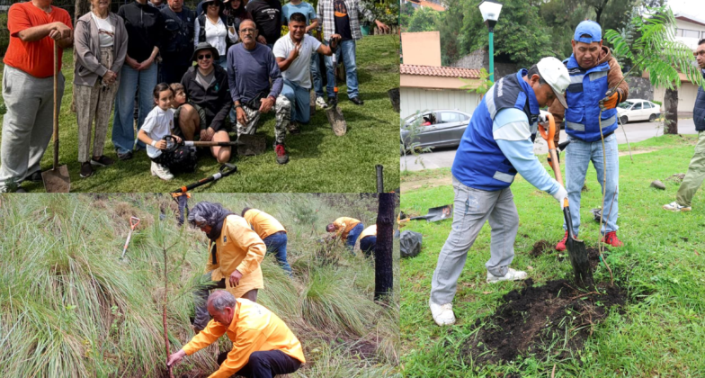 Reforestan bosques y zonas urbanas de Huixquilucan
