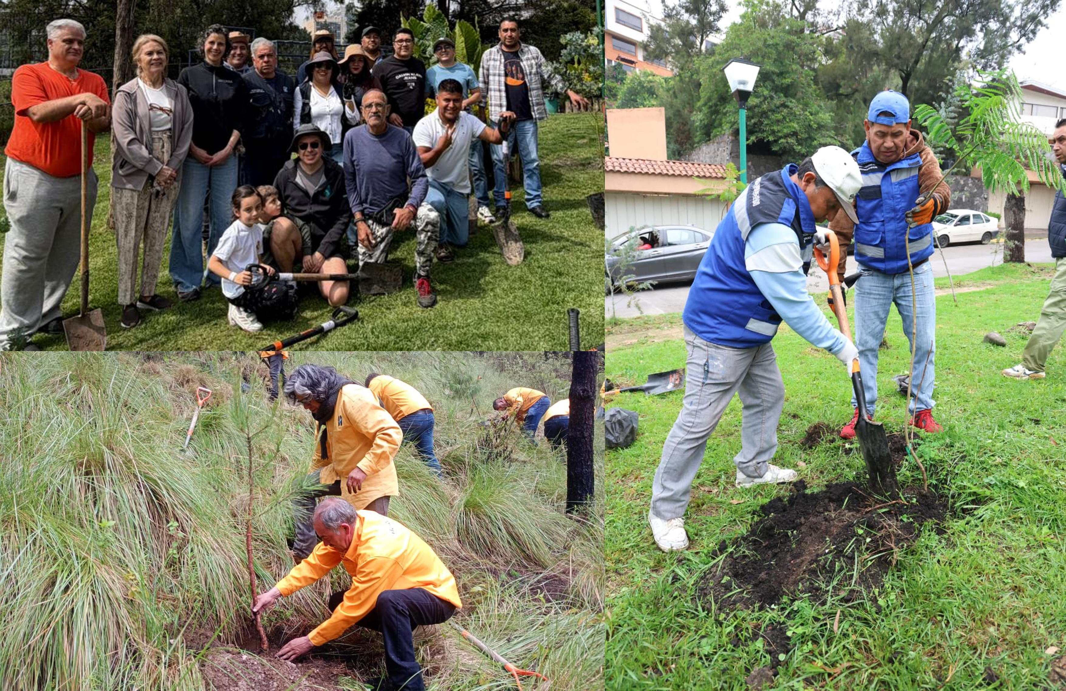 Reforestan bosques y zonas urbanas de Huixquilucan