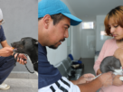 Canes y felinos con mejor vida por atenciones de Huixquican, gobierno de Huixquilucan