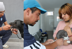 Canes y felinos con mejor vida por atenciones de Huixquican, gobierno de Huixquilucan
