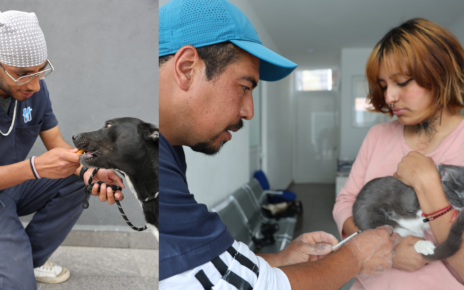 Canes y felinos con mejor vida por atenciones de Huixquican, gobierno de Huixquilucan