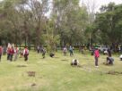 Reforesta gobierno de Naucalpan el parque Naucalli