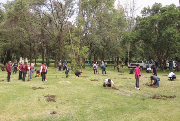 Reforesta gobierno de Naucalpan el parque Naucalli