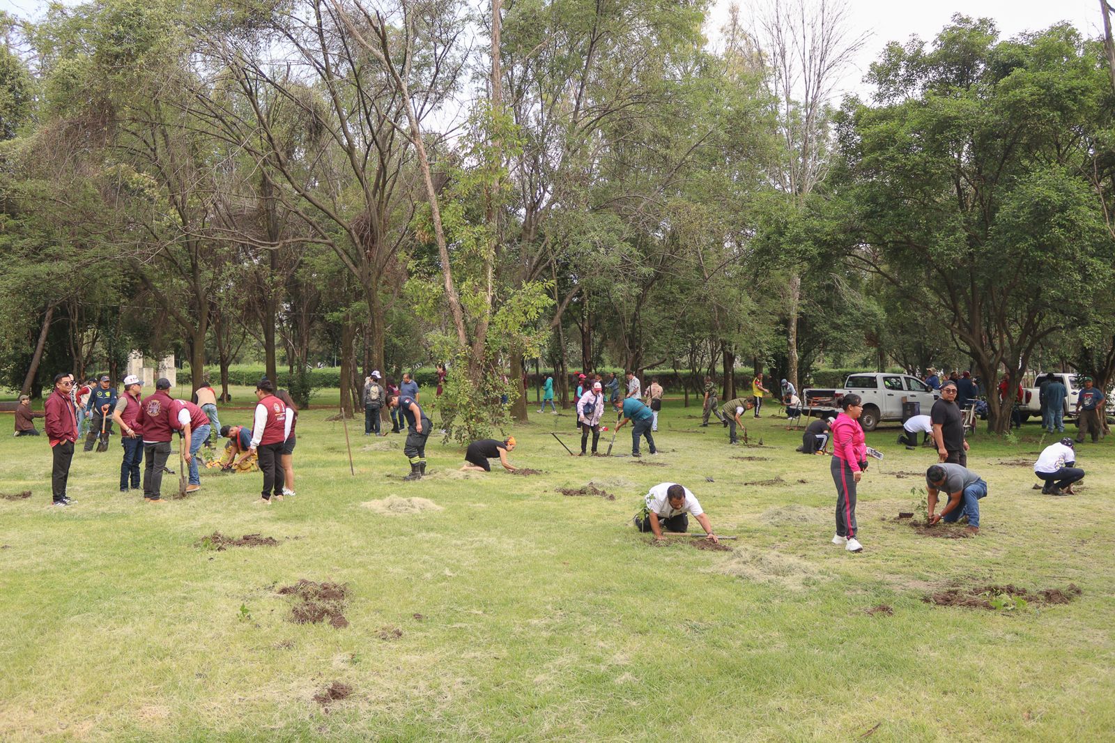 Reforesta gobierno de Naucalpan el parque Naucalli