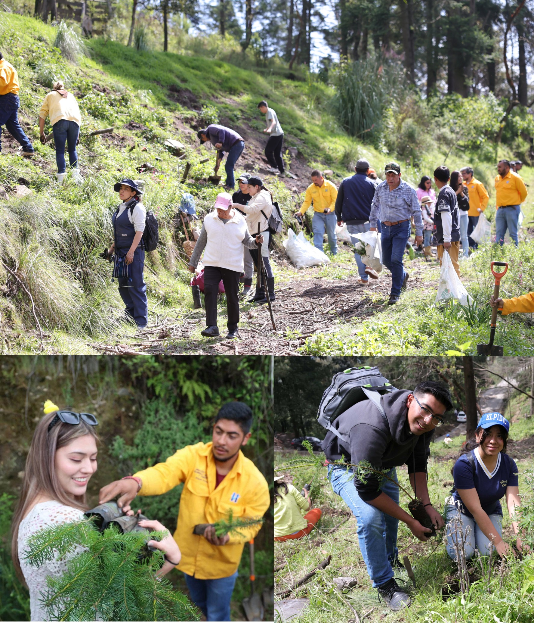 Reforestan bosques y espacios urbanos en Huixquilucan