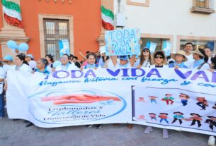 Mujeres Libres y Soberanas proponen que asignen presupuesto a mujeres embarazadas