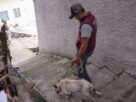 Estrella por fin fue rescatada de la azotea donde la tenían atada en Naucalpan