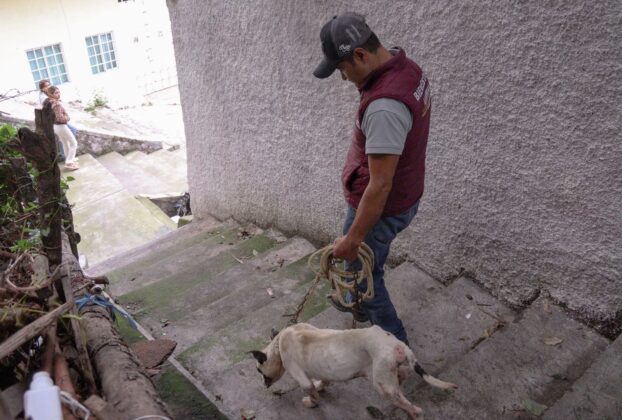 Estrella por fin fue rescatada de la azotea donde la tenían atada en Naucalpan