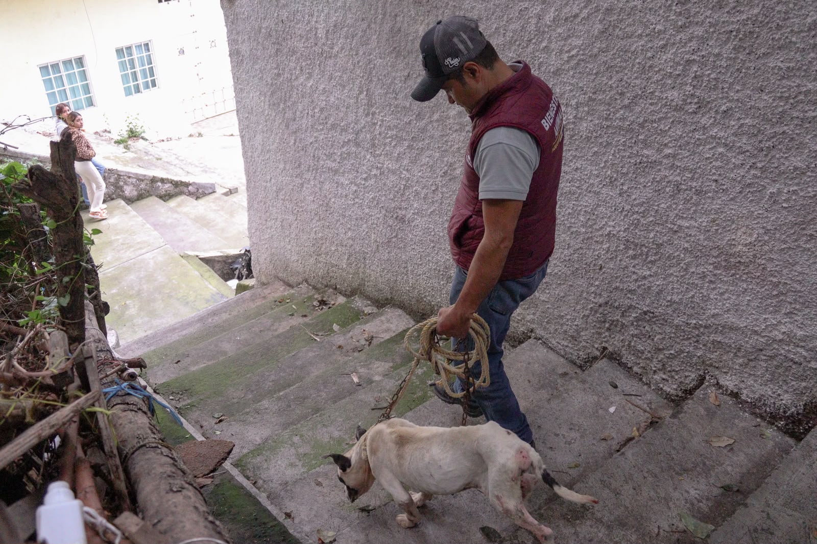 Estrella por fin fue rescatada de la azotea donde la tenían atada en Naucalpan